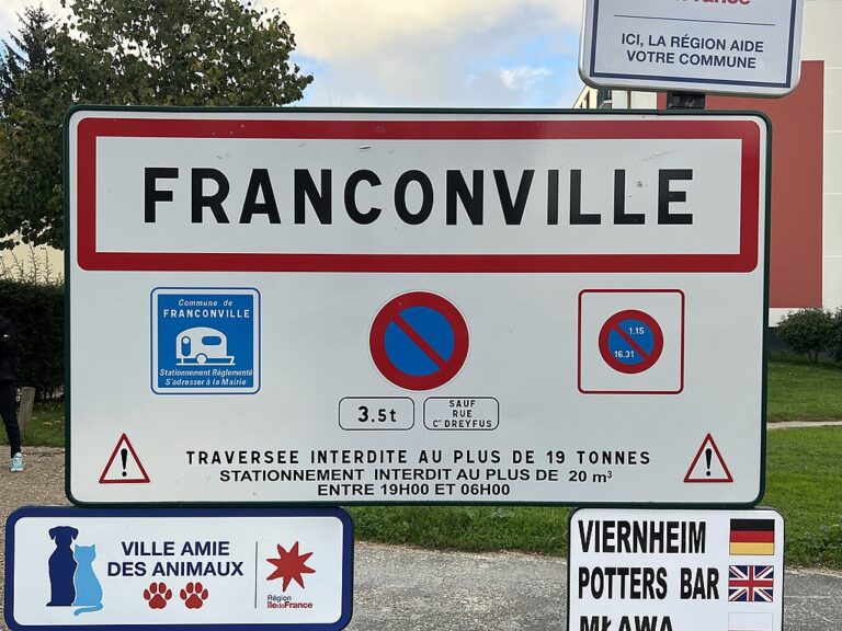 Dératisation & Désinsectisation à Franconville 95