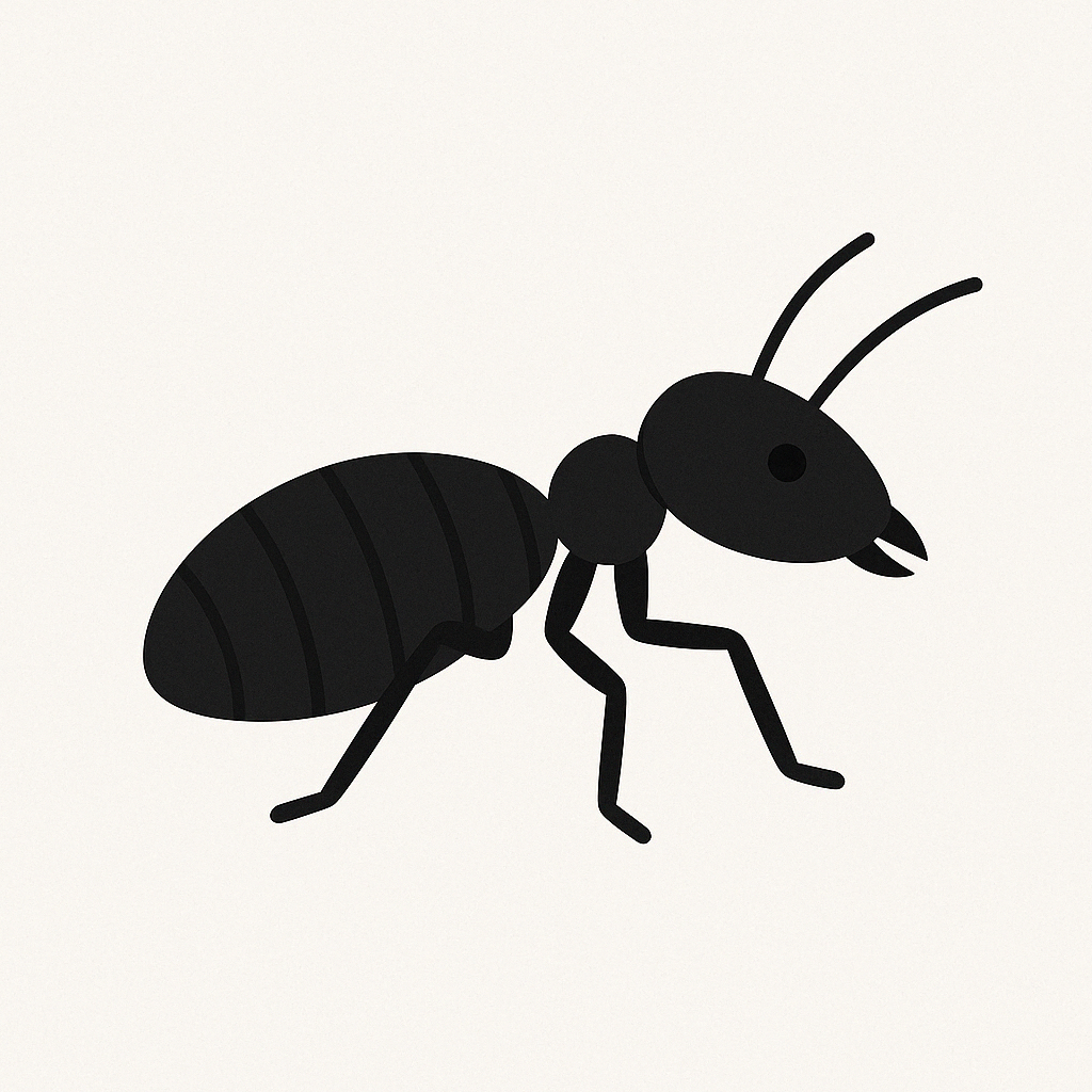 Fourmis